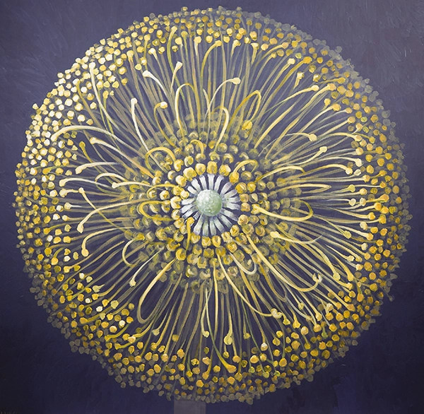 expozitia-gratia-viva-marcel-lupse-win-gallery-ziarul-impact