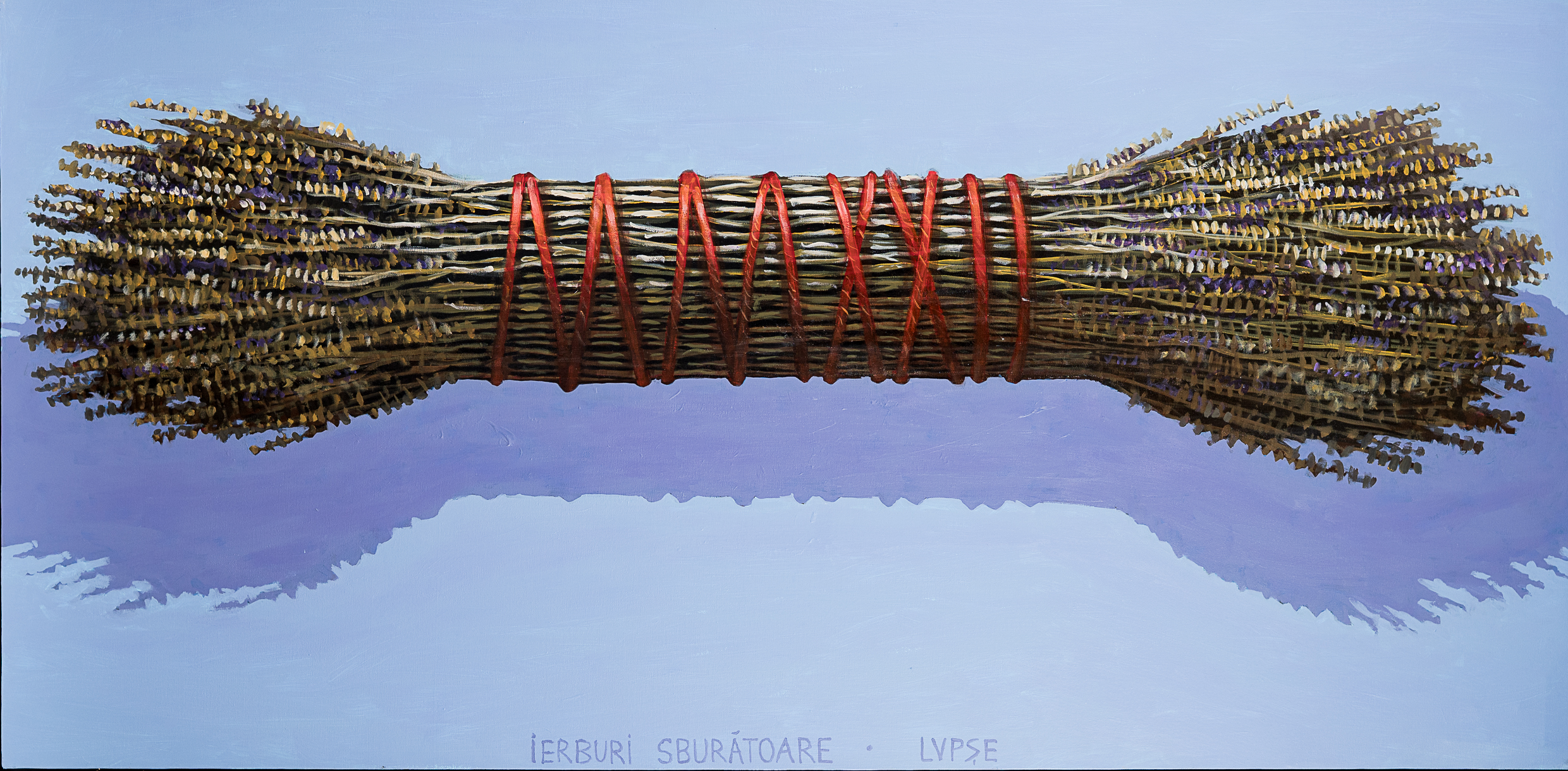 1.%20BUSUIOCUL%20160%20X%2080%20cm