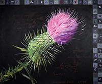 atest-collection-gratia-viva-05