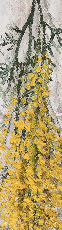 florile-verii-marcel-lupse