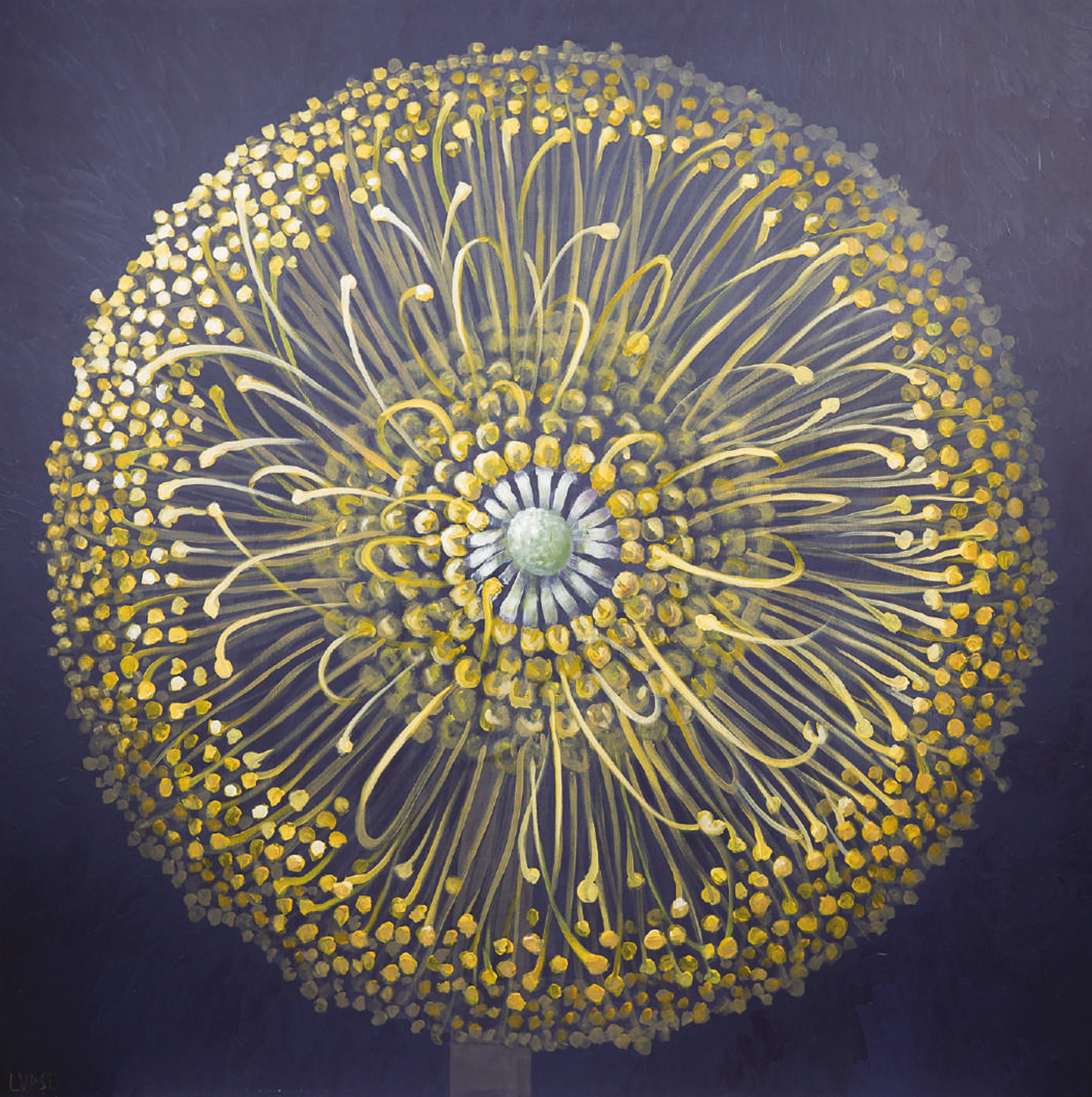 inflorescenta-marcel-lupse-win-gallery