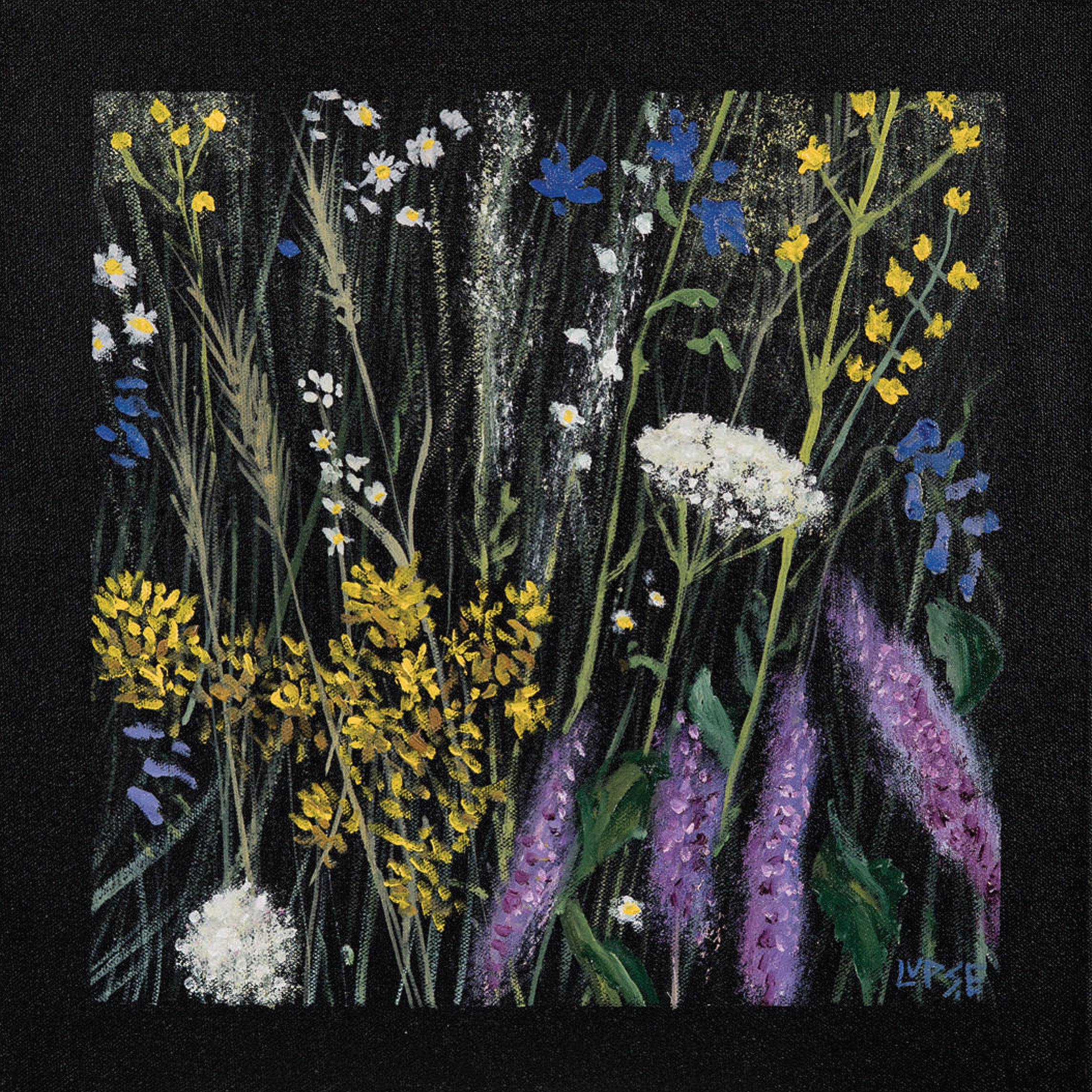 marcel-lupse-ierburi-si-flori