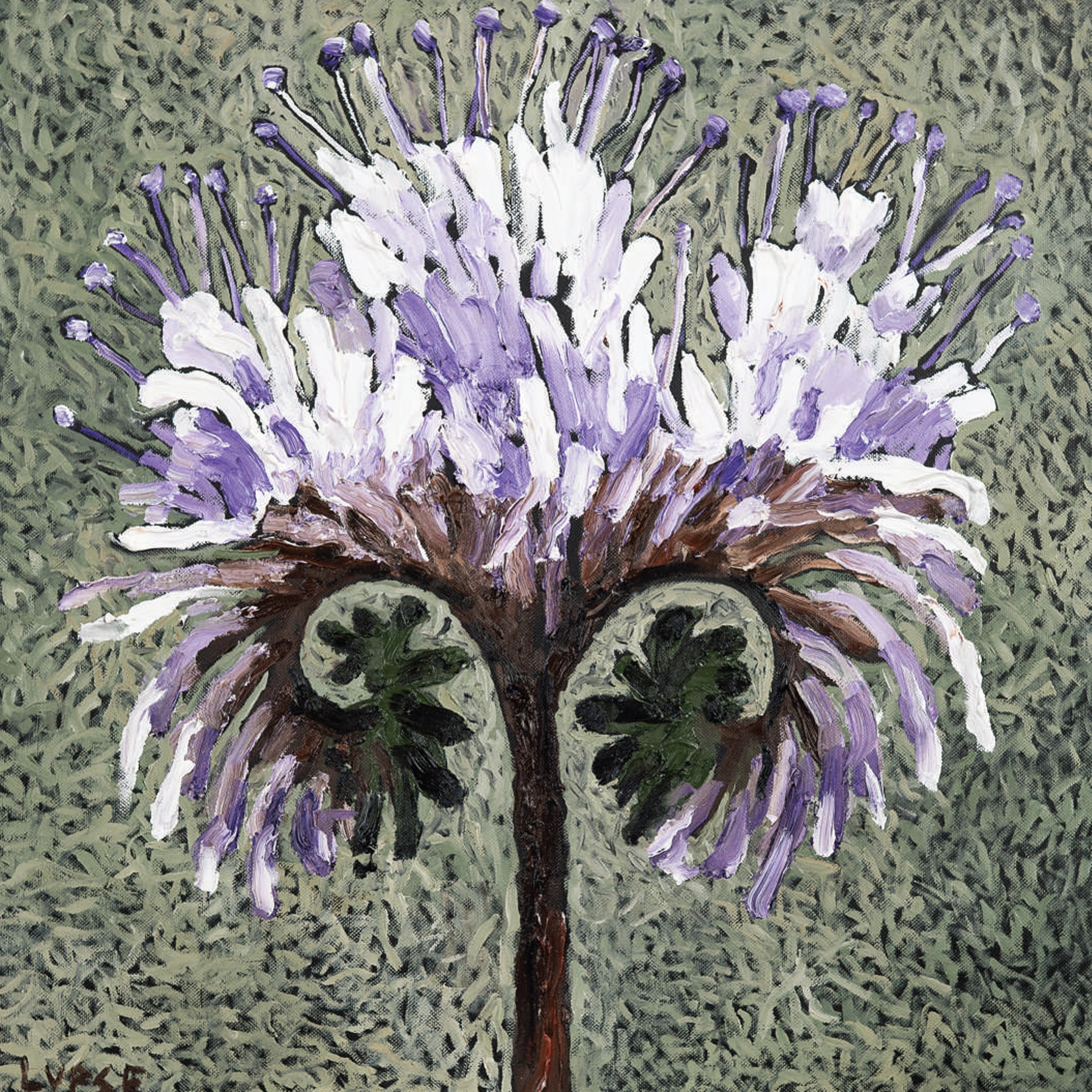 marcel-lupse-phacelia-melifera