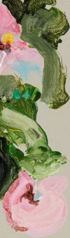 marcel-lupse-rasura-5