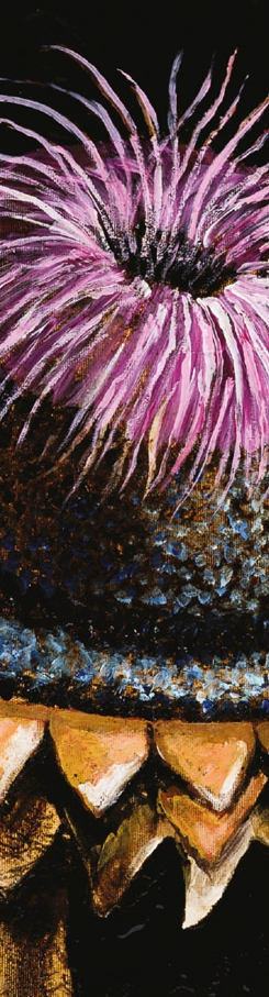 marcel-lupse-thistle-win-gallery