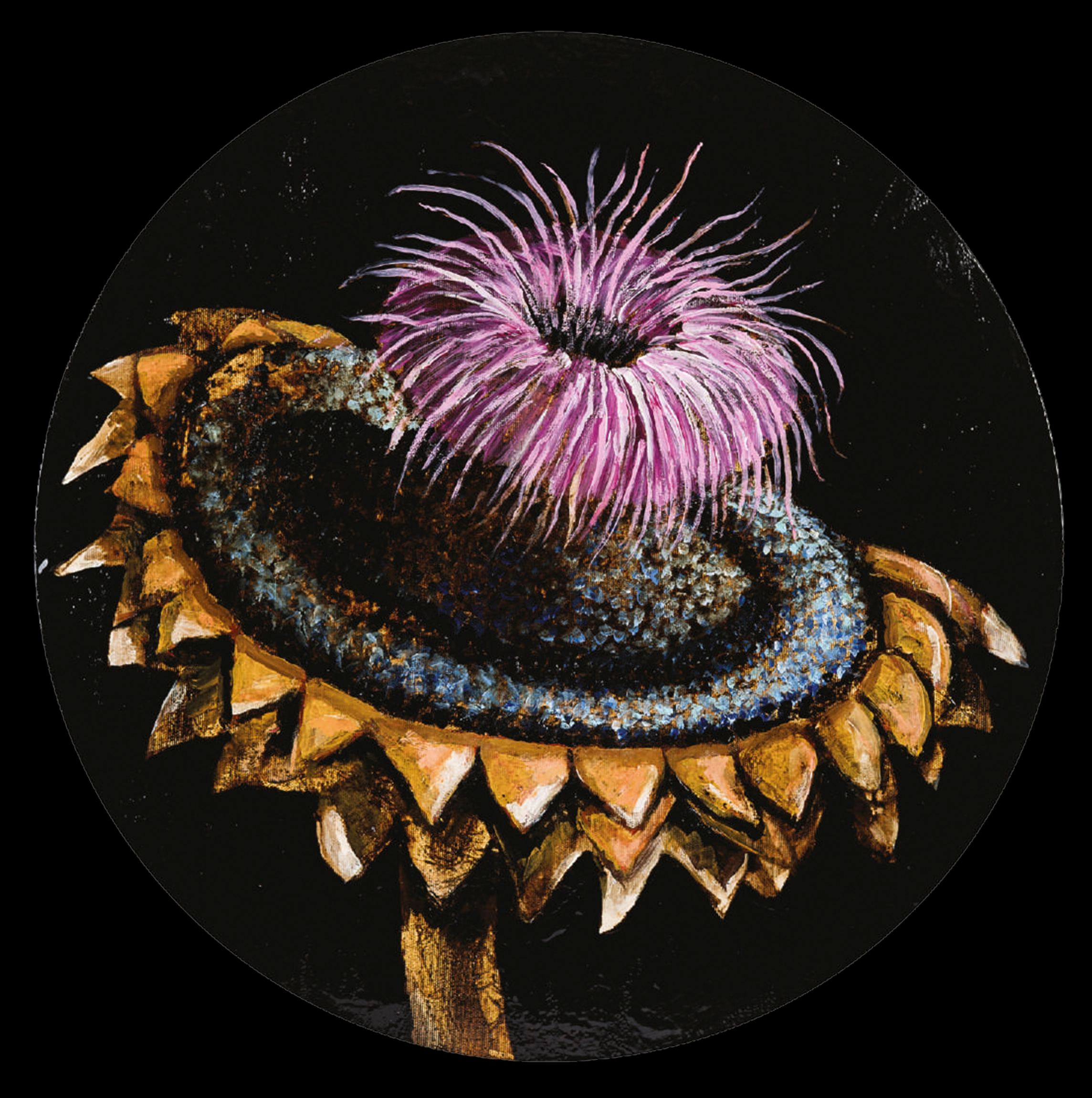 scai-marcel-lupse-win-gallery