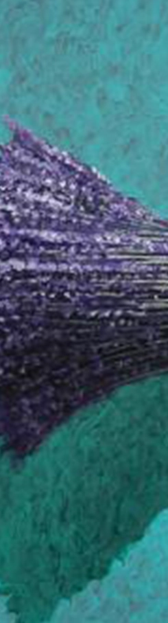 suspendum-eligit-anima-mea-marcel-lupse