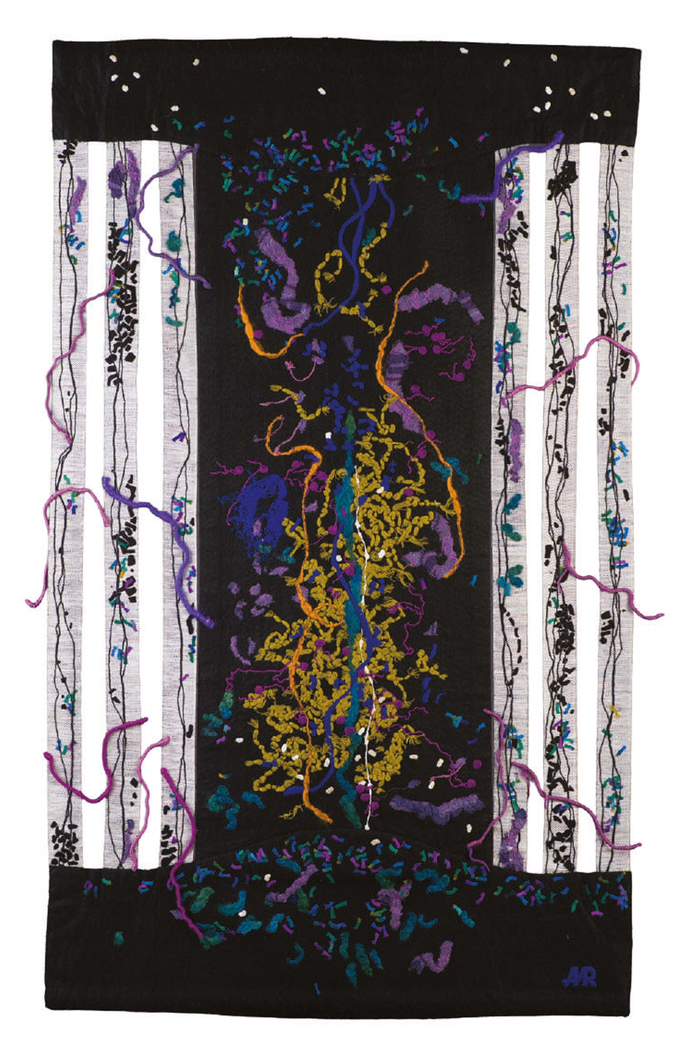 ana-maria-rugescu-rodul-semintei