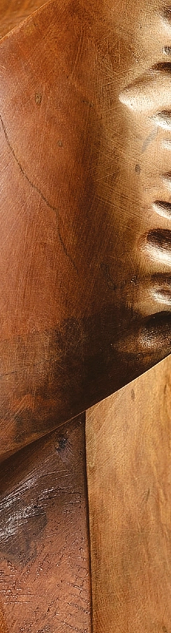 portret-iarna-remus-irimescu