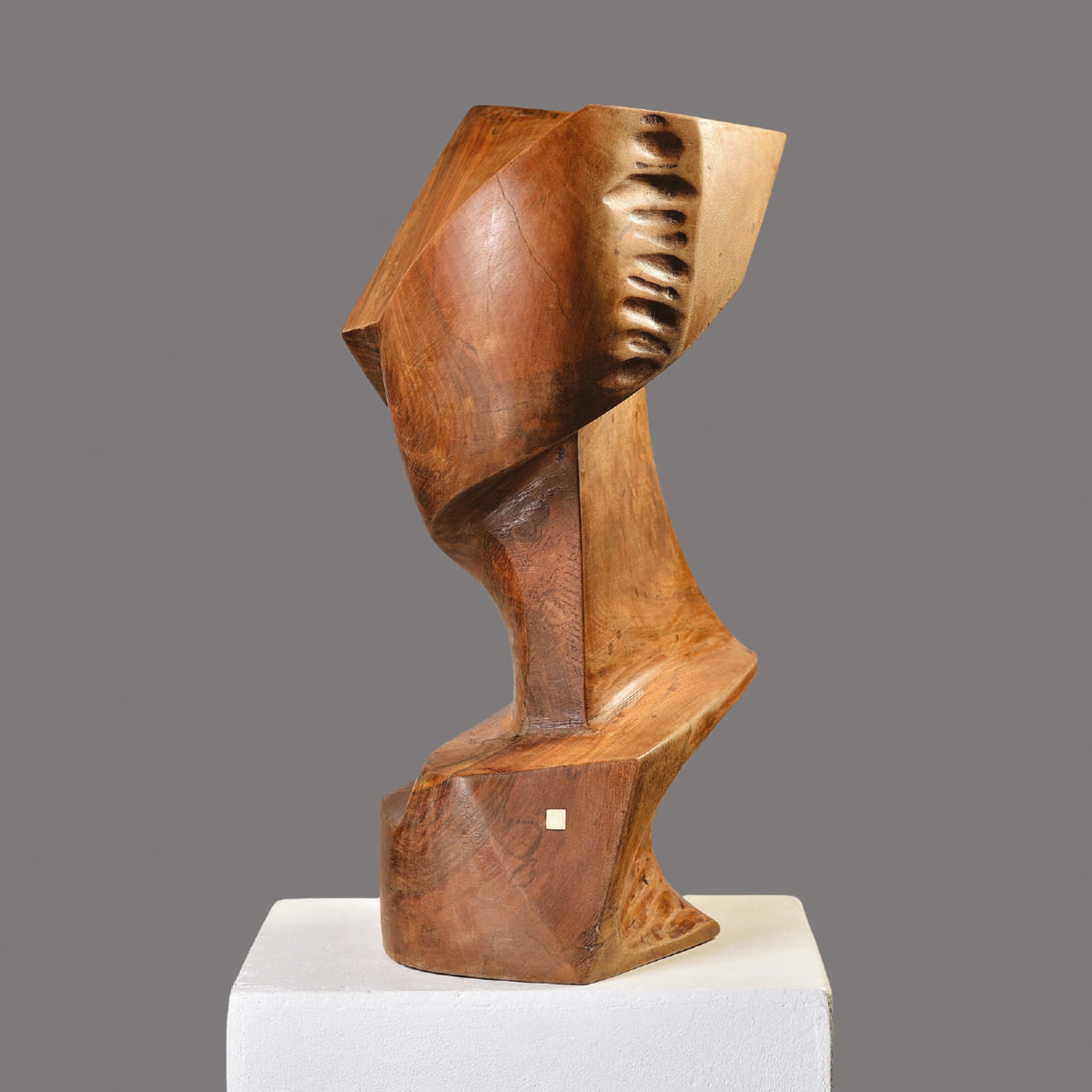 remus-irimescu-portret-iarna