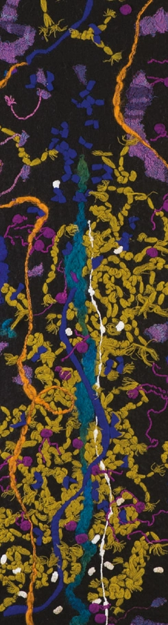 rodul-semintei-ana-maria-rugescu