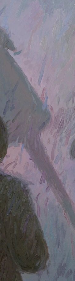 shadows-flora-raducan