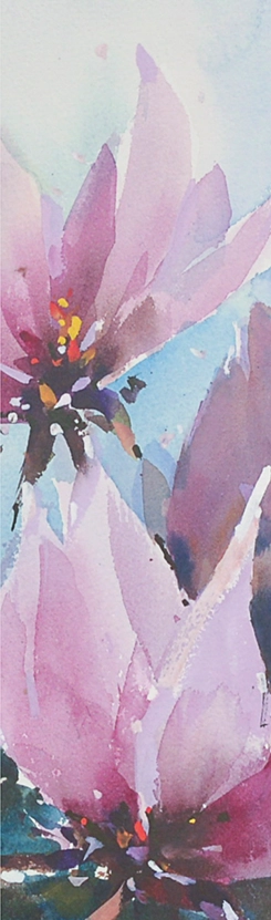corneliu-dragan-magnolia-win-gallery