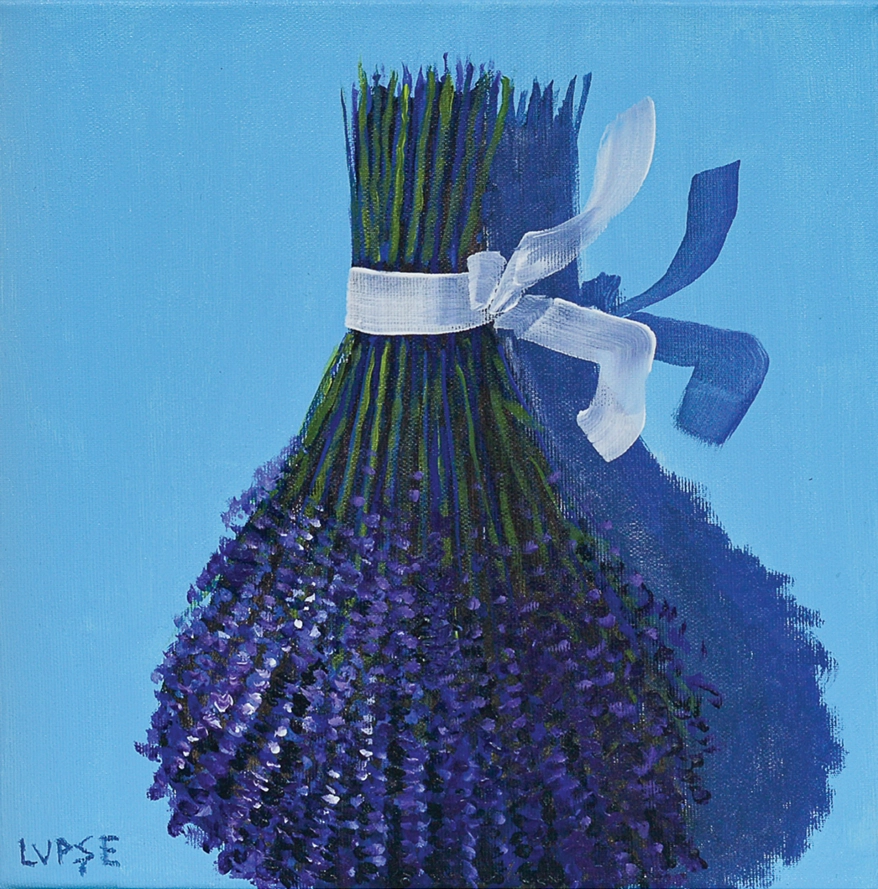 marcel-lupse-2024-lavanda-win-gallery
