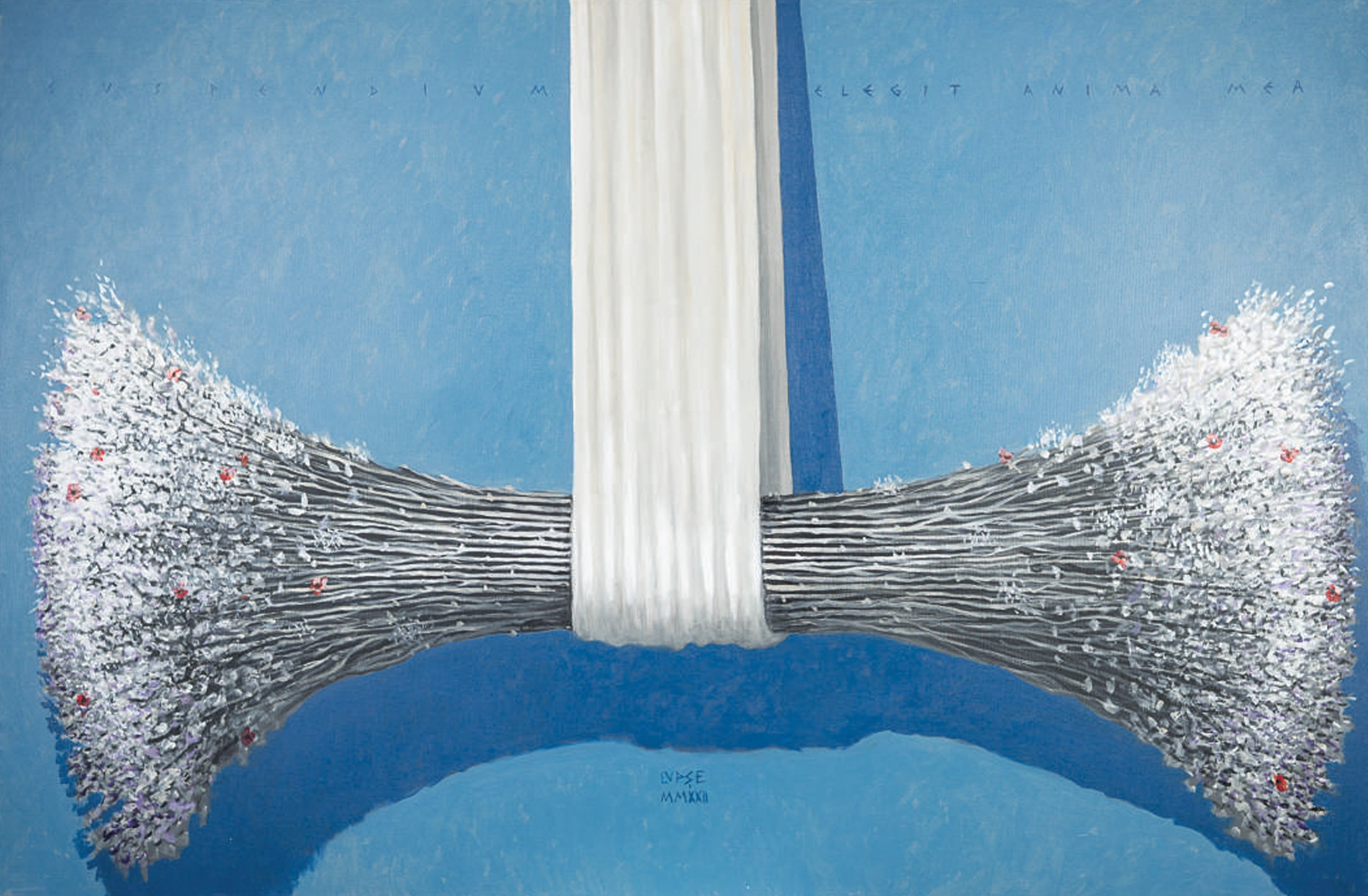 marcel-lupse-ierburi-din-cer-2