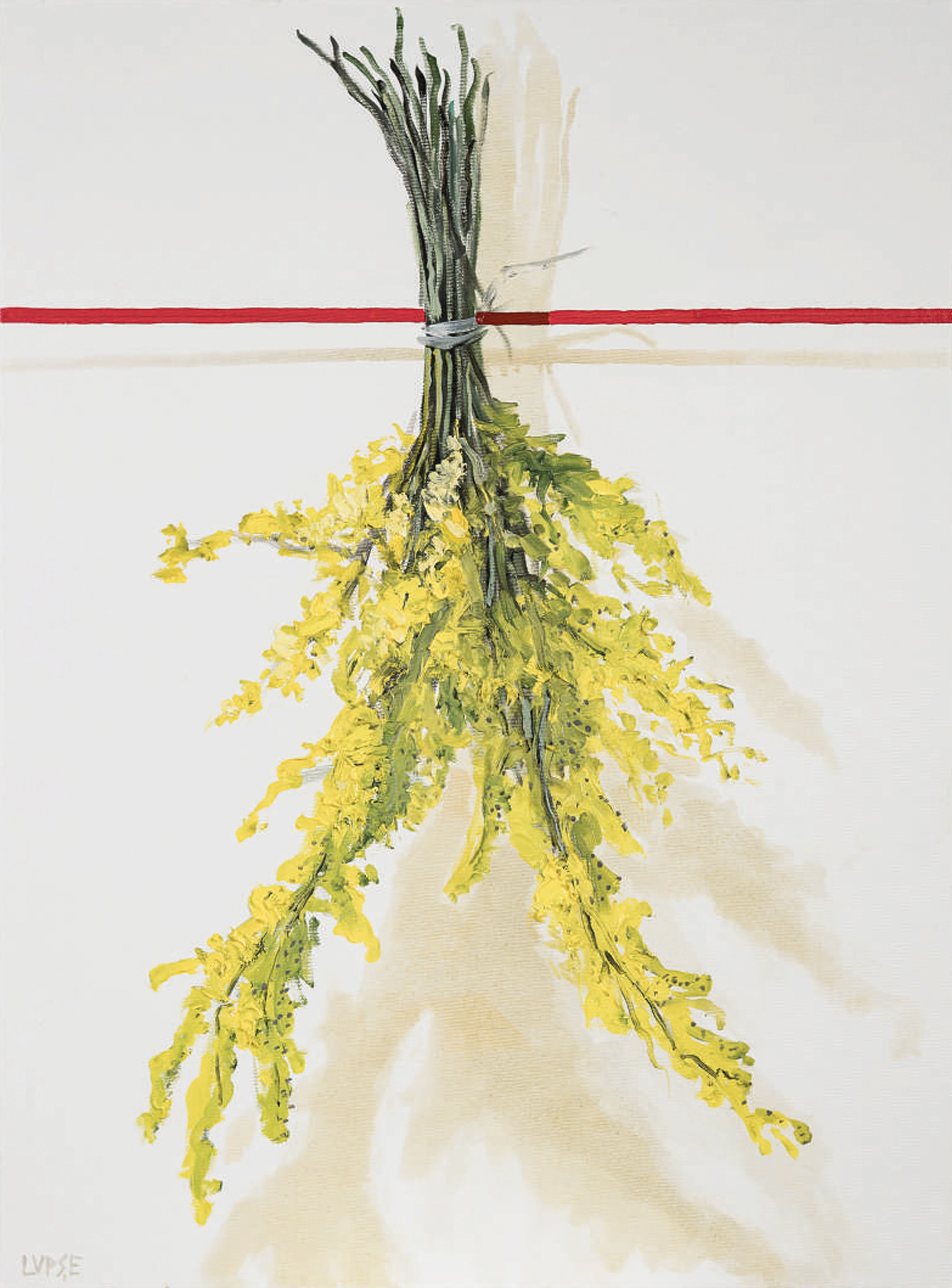 marcel-lupse-sanziene