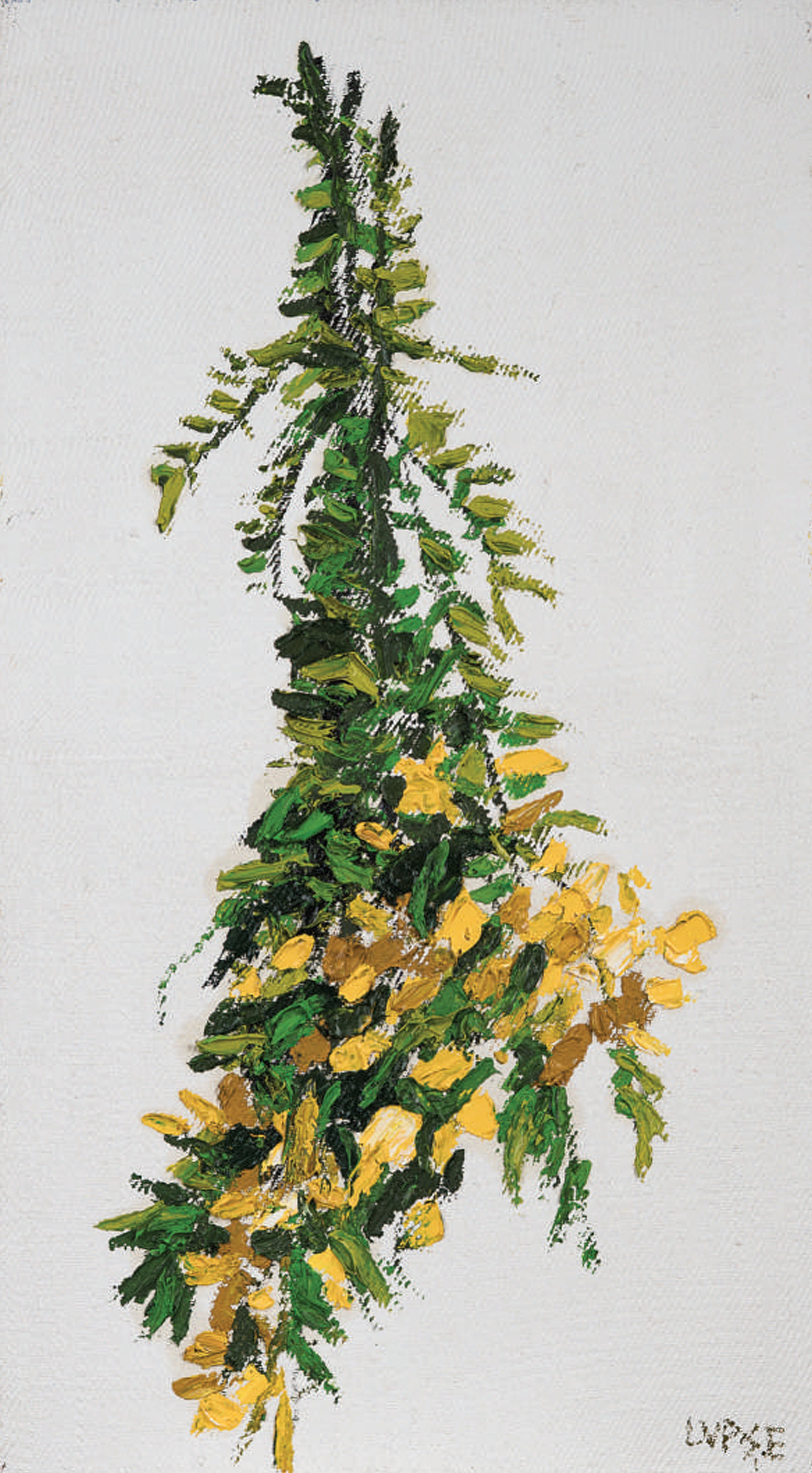 marcel-lupse-sunatoare