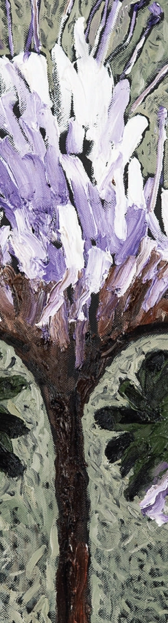 phacelia-melifera-1-marcel-lupse