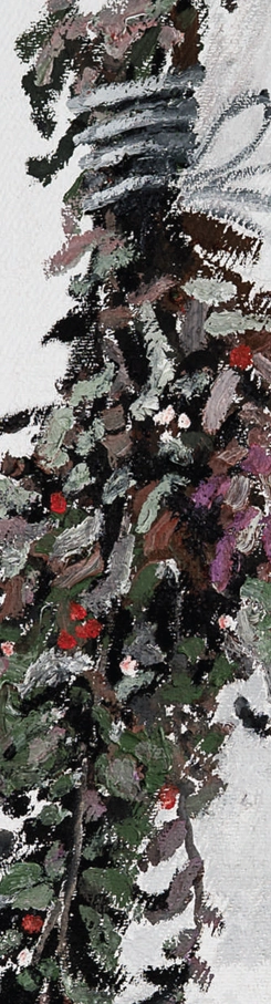 roinita-marcel-lupse