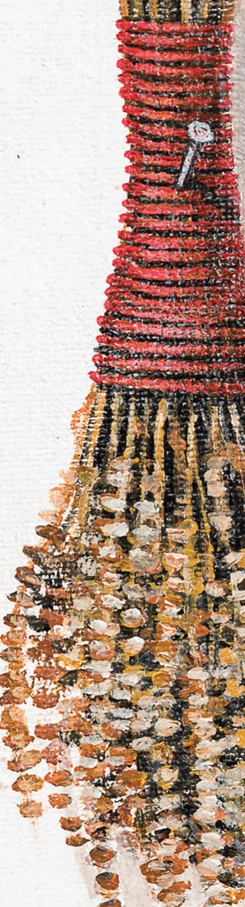 sfestoc-marcel-lupse-win-gallery