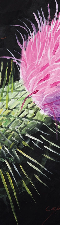 spin-si-floare-marcel-lupse