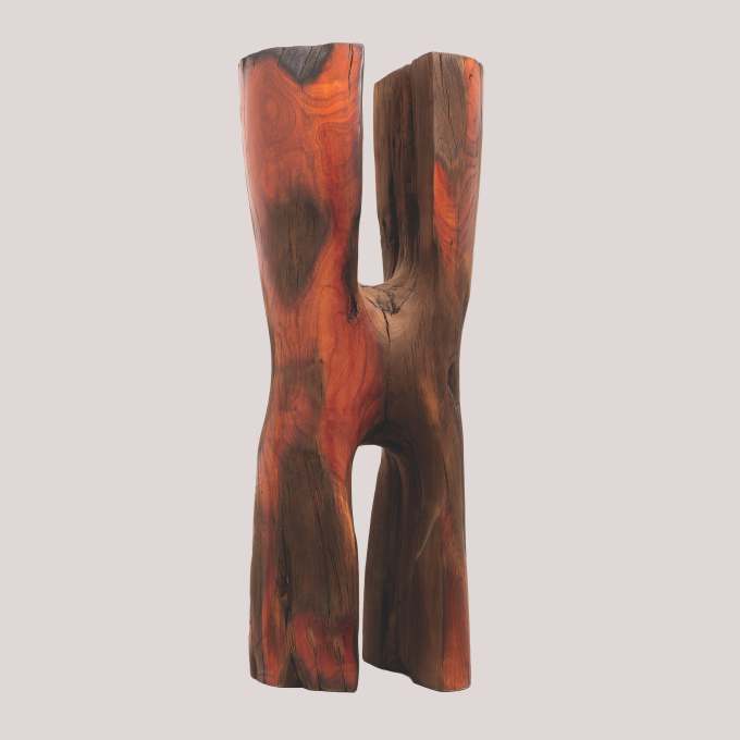 win-gallery-ion-berendea-frumusete-exterioara