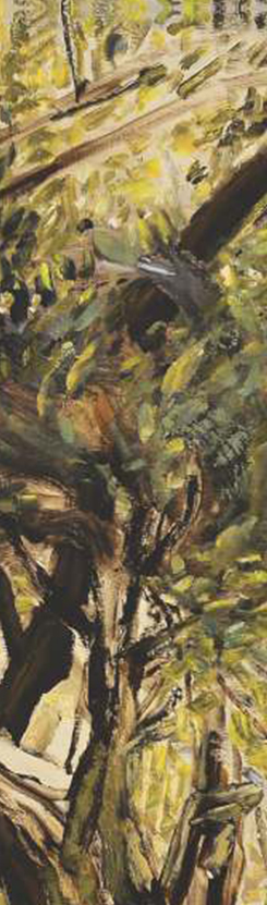 constantin-pacea-pictor-win-gallery